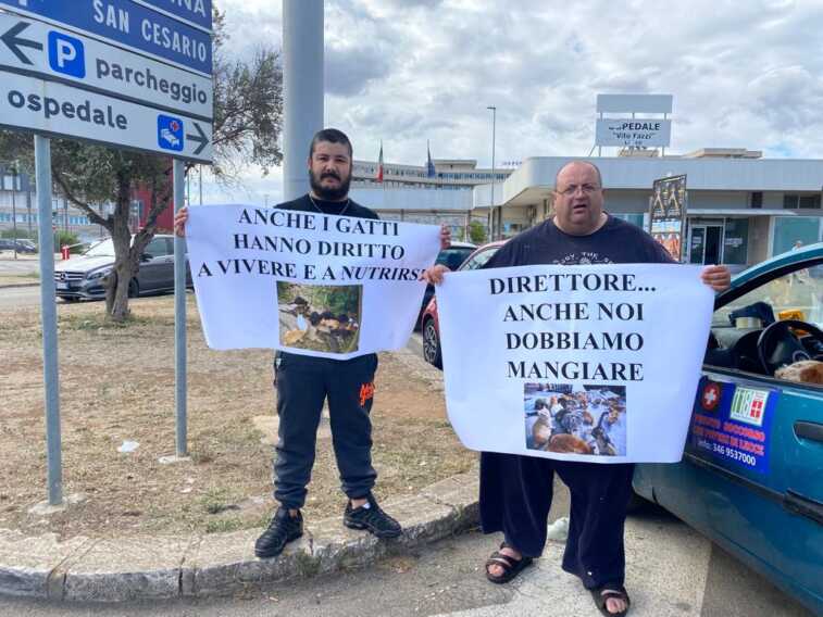 Lecce, al Fazzi è vietato dare cibo ai gatti: «La colonia felina è un rischio per i pazienti»