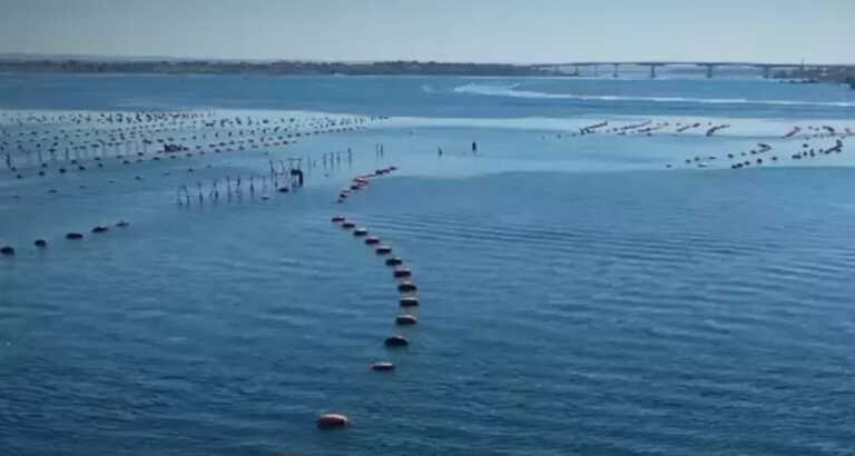 Taranto, stop all’impianto di semi o frutti diversi dalla cozza nera nel Mar Piccolo