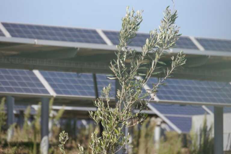 Pronto il ddl per la compensazione ambientale dei nuovi impianti energetici in Puglia