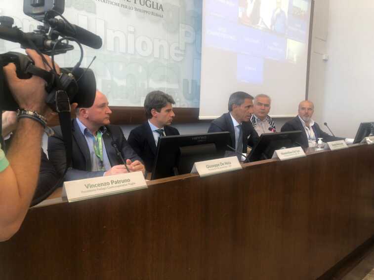 Un nuovo contratto di filiera per il rilancio della cerasicoltura italiana: c’è anche la Puglia
