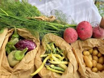 Galleria foto 'Dieta, l’esperta: “Più difficile dimagrire per i vegetariani, ecco cosa evitare”' - foto 1