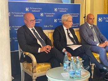 Galleria foto 'Digitale, De Vincenti: “Capitale umano elemento chiave competitività imprese”' - foto 1