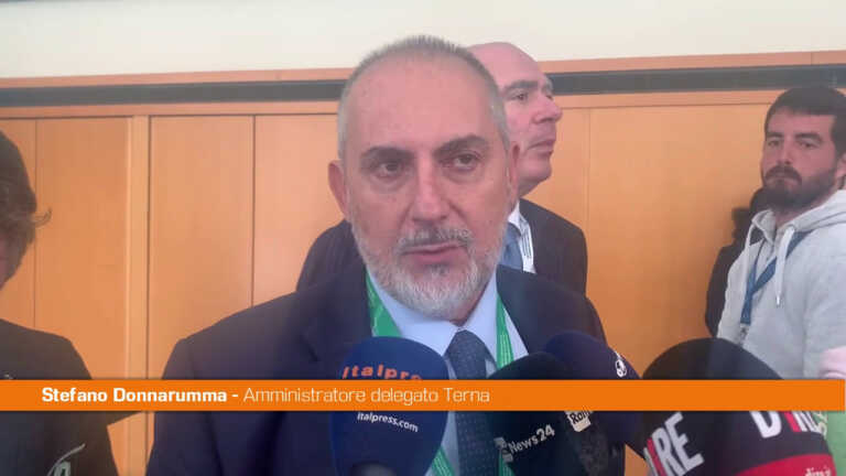 Galleria foto 'Donnarumma “L’alternativa al gas russo sono le rinnovabili”' - foto 1