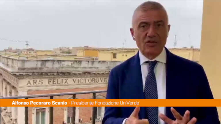 Galleria foto 'Elezioni, Pecoraro Scanio “Da Conte impresa encomiabile”' - foto 1