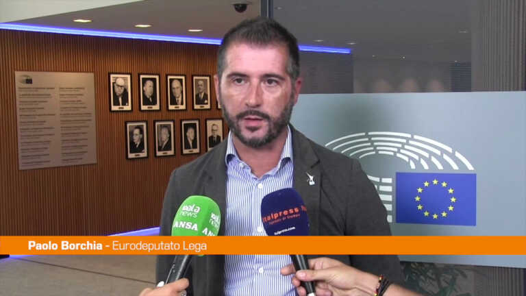 Galleria foto 'Energia, Borchia “Green Deal va riformato”' - foto 1