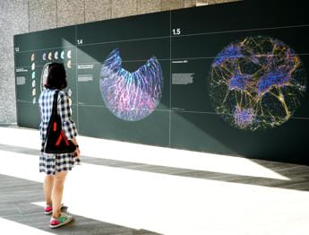 Galleria foto 'In Fondazione Prada convegno e mostra su malattie neurodegenerative' - foto 1
