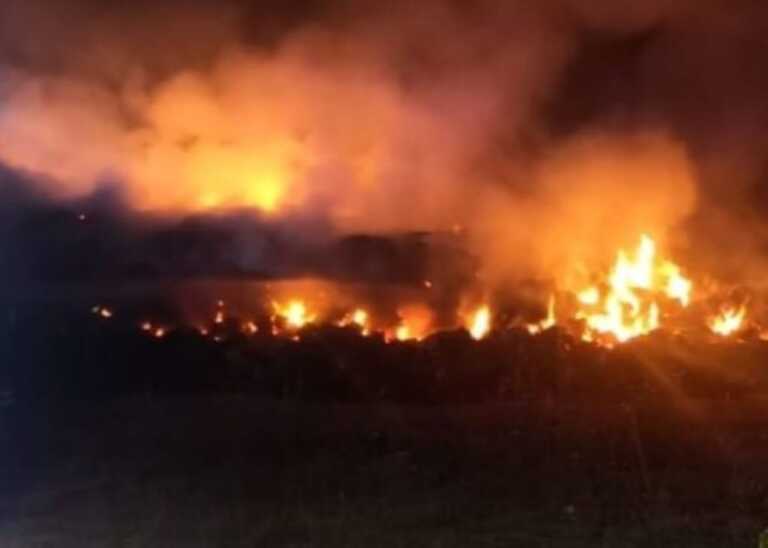 Balle di fieno a fuoco in un’azienda di Andria: indagano i carabinieri