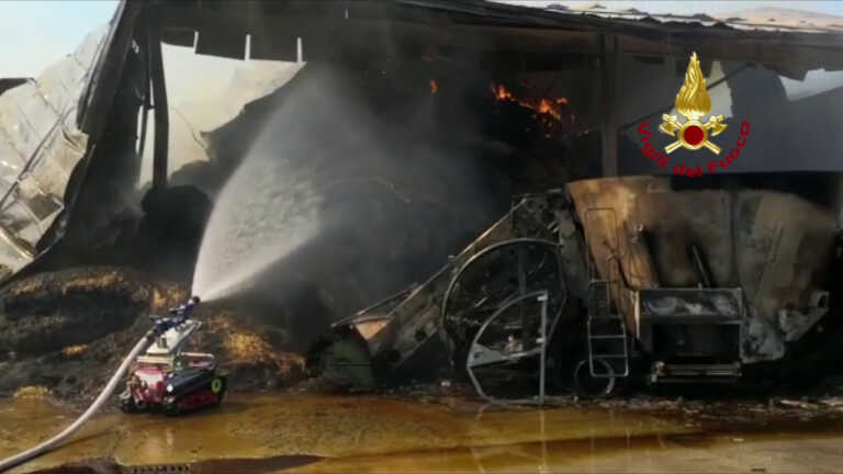Galleria foto 'Incendio in una azienda agricola nel padovano, in salvo 300 animali' - foto 1
