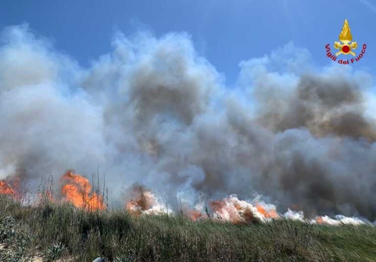 Galleria foto 'Brindisi, fiamme nel Parco Saline di Punta della Contessa: in fumo 10 ettari' - foto 1