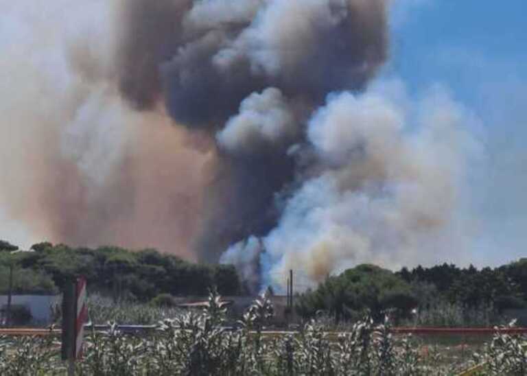 Macchia mediterranea in fiamme tra San Foca e Roca: fumo invade la litoranea