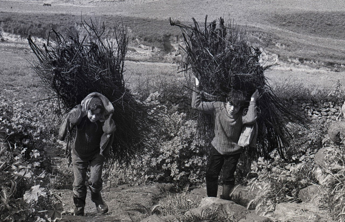 Galleria foto 'La montagna tra i miti, convegno dedicato a Tusa' - foto 1