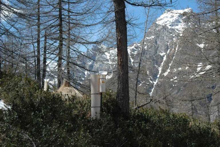 Galleria foto 'L’impatto dello smog sugli ecosistemi, al via progetto Life Modern Nec' - foto 1