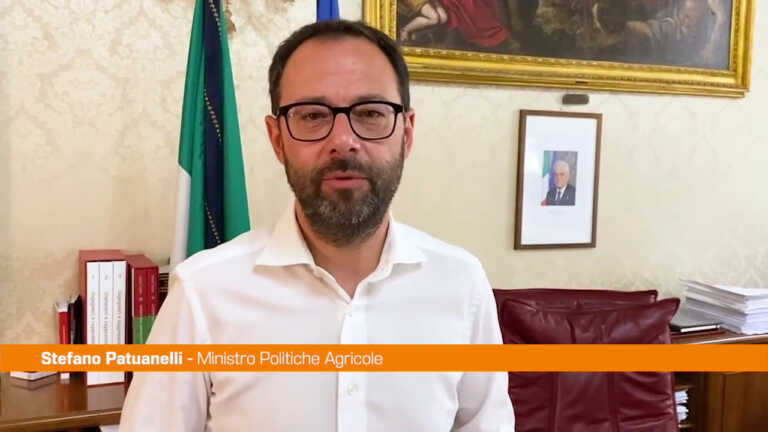 Galleria foto 'Patuanelli “M5S non sta bloccando il decreto Aiuti”' - foto 1