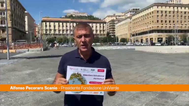 Galleria foto 'Pecoraro Scanio “Petizione #NoFakeFood per difesa cibi tradizionali”' - foto 1
