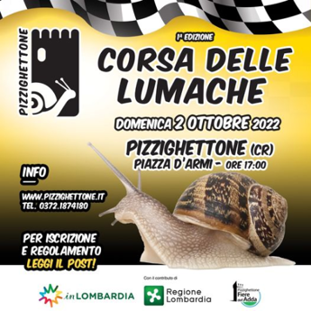 Galleria foto 'Pizzighettone, bufera per la corsa delle lumache' - foto 1