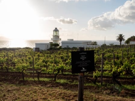 Tasca d’Almerita-Tenuta Capofaro premiata per miglior carta vini del mondo
