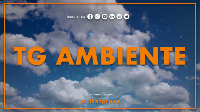 Galleria foto 'Tg Ambiente – 11/9/2022' - foto 1