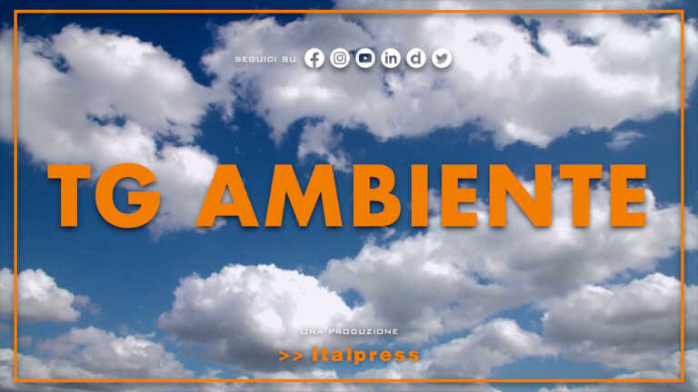Galleria foto 'Tg Ambiente – 18/9/2022' - foto 1