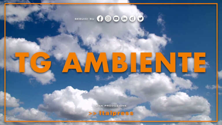 Galleria foto 'Tg Ambiente – 25/9/2022' - foto 1