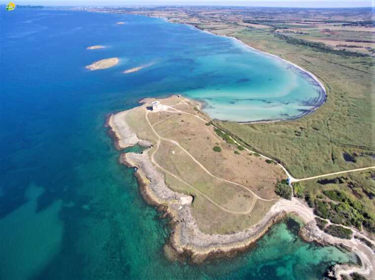 Nudisti a Torre Guaceto, ma in quel tratto la balneazione è vietata. Malatesta scrive a Vanity Fair – VIDEO