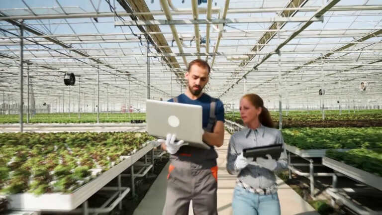 Galleria foto 'Ue, a maggio commercio agroalimentare +32%' - foto 1