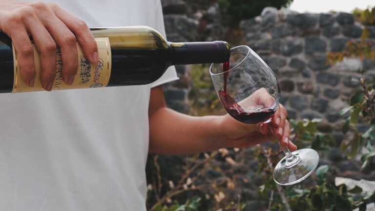 Al via a Bari “I sensi del vino”, tra tutela dell’ambiente e imprenditoria femminile