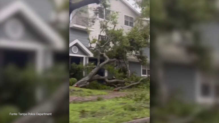 Galleria foto 'Uragano in Florida, un semaforo vola via spinto dal vento' - foto 1
