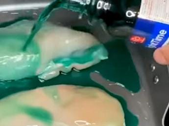 Galleria foto 'Usa, pollo cotto in sciroppo anti-raffreddore: alert Fda su video TikTok' - foto 1