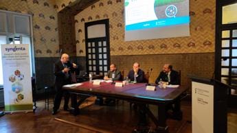 Galleria foto 'Vanelli (Syngenta): ‘Innovazione fondamentale per rendere agricoltura sostenibile’' - foto 1