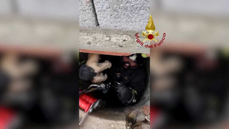 Galleria foto 'Vigile del fuoco si cala nel pozzo e salva un gattino' - foto 1