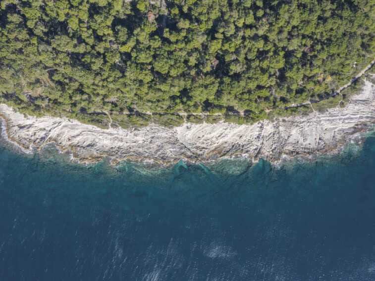 Monopoli capitale della fotografia: torna “Phest” con 32 mostre in città – VIDEO