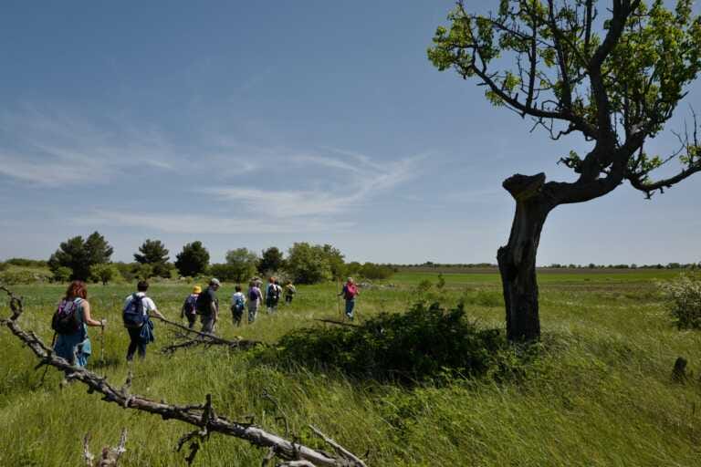 La Puglia investe sul turismo sostenibile: oltre 3,2 milioni per migliorare la rete dei cammini – VIDEO