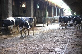 Galleria foto 'A Montichiari focus Ismea su ‘Futuro stalle italiane tra nuova Pac e mercato’' - foto 1
