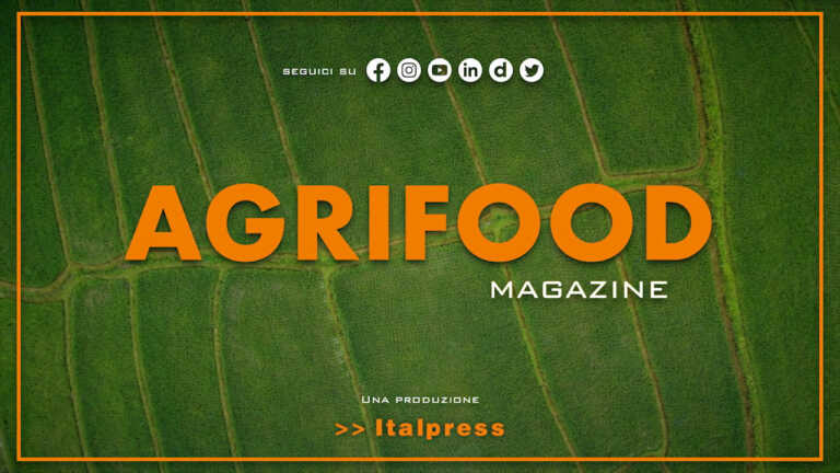 Agrifood Magazine – 12/10/2022
