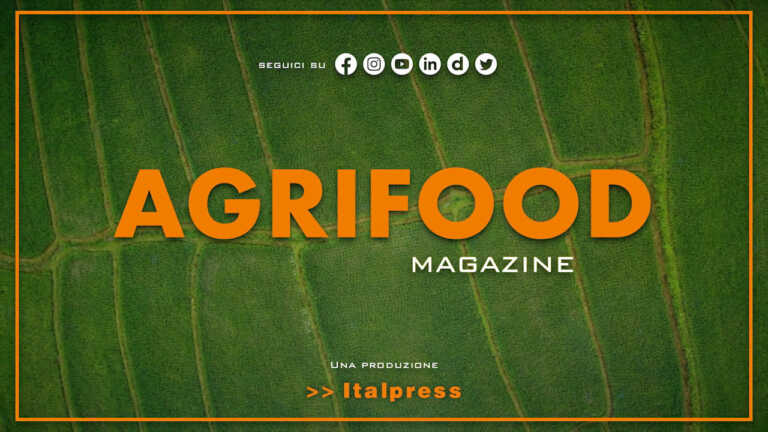 Agrifood Magazine – 19/10/2022