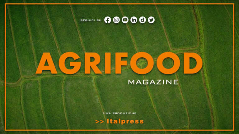 Agrifood Magazine – 26/10/2022