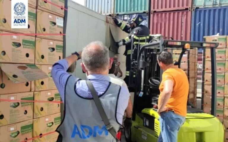 Galleria foto 'Al porto di Catania sequestrati 110 kg di cocaina per 12 milioni' - foto 1