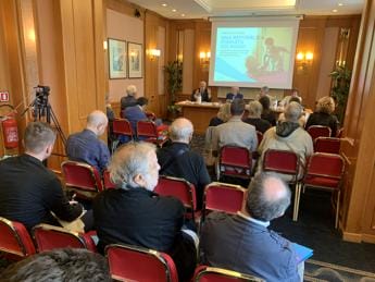 Galleria foto 'Anziani: Blangiardo (Istat), ‘con tracollo fertilità in Italia anche figura nonno si ridimensiona’' - foto 1