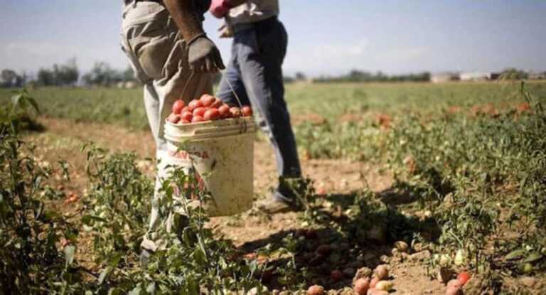 Bracciante morì nei campi al lavoro sotto il sole: chieste condanne a 11 anni