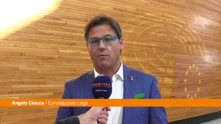 Galleria foto 'Ciocca “L’Ue si occupi di imprese e famiglie, non di singoli Stati”' - foto 1
