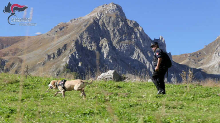 Galleria foto 'Cuneo, carabinieri forestali a caccia di “bocconi avvelenati”' - foto 1