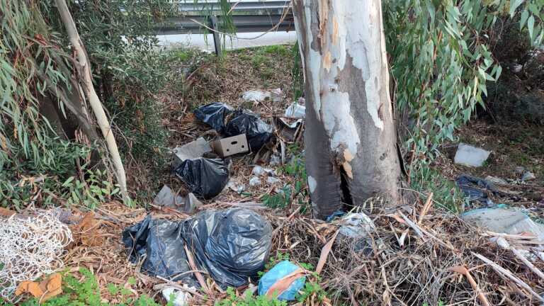 Galleria foto 'Bari, incivili scatenati a Palese e Santo Spirito: spunta la maxi-discarica a cielo aperto' - foto 1