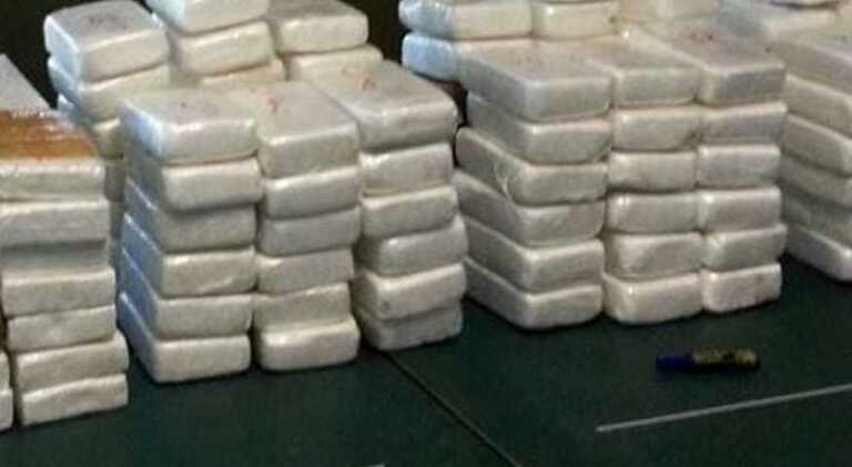 Non erano narcotrafficanti, il pm chiede 14 anni. Il giudice: «Tutti assolti»