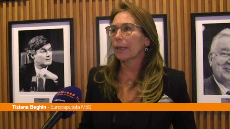 Galleria foto 'Energia, Beghin “In Europa prevalgono gli egoismi nazionali”' - foto 1
