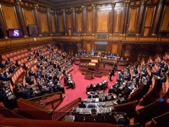 Galleria foto 'Governo, Fdi e lo ‘scouting centrista’ su Forza Italia: grandi manovre per ora in stand by' - foto 1