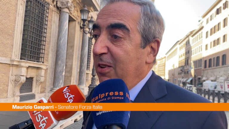 Galleria foto 'Governo, Gasparri “I leader definiranno gli ultimi dettagli”' - foto 1