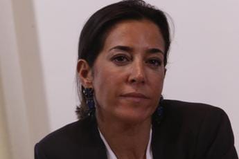 Galleria foto 'Governo, malumori Forza Italia per caso Ronzulli' - foto 1