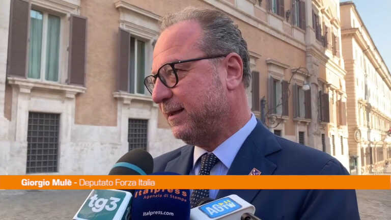 Galleria foto 'Governo, Mulè “Forza Italia solleva tema politico, non di poltrone”' - foto 1