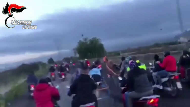 Galleria foto 'I carabinieri bloccano una corsa clandestina di cavalli nel catanese' - foto 1