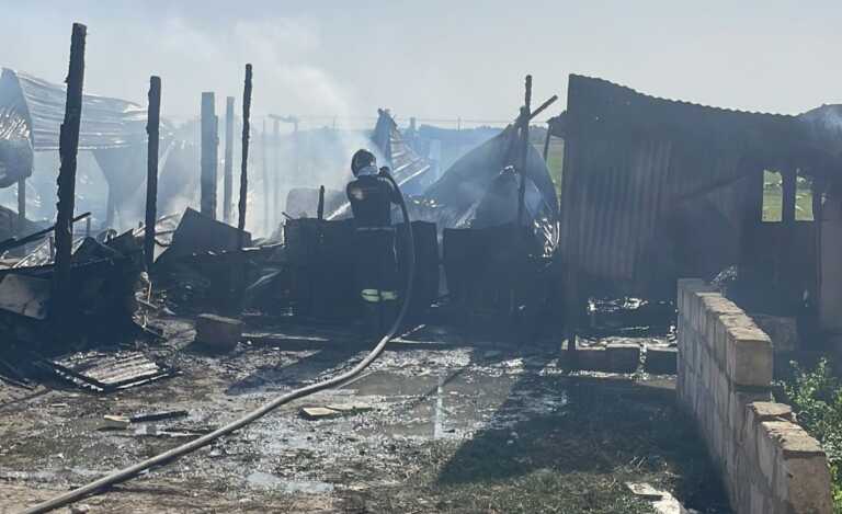 Galleria foto 'Incendio a Borgo Mezzanone: almeno 5 baracche distrutte dalle fiamme – VIDEO' - foto 1